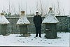 hive -29.jpg hive -29.jpg